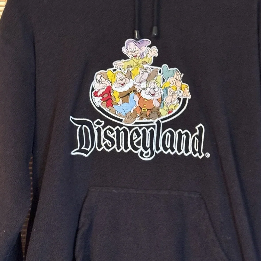 Walt Disney World Men's S 7 Dwarfs‎ Hoodie Sweatshirt  Black Fleece Activewear